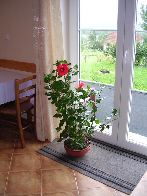 Apartmany Zahorovo Loze Horní Planá エクステリア 写真
